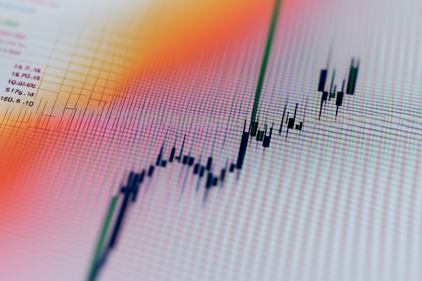 Planificación presupuestaria y seguridad financiera integral